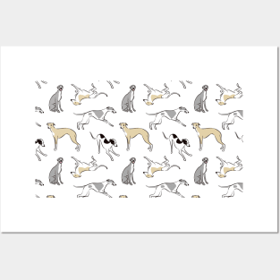 Sighthounds Posters and Art